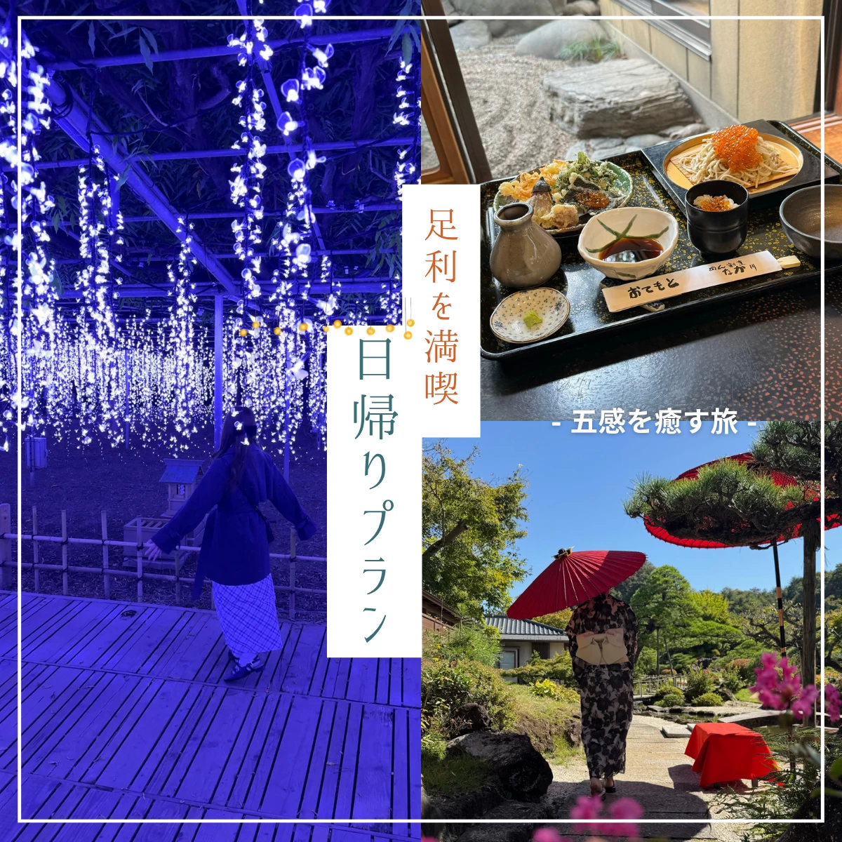 足利で歴史を感じるさんぽ旅へ！グルメ＆フラワーパークも満喫｜旅行